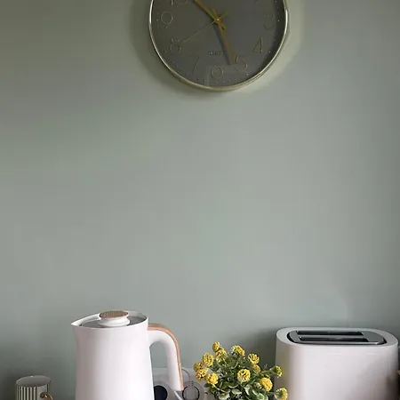 Le Panorama Des Pyrenees Apartment Tarbes